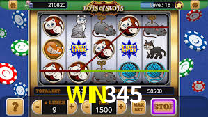 WIN345